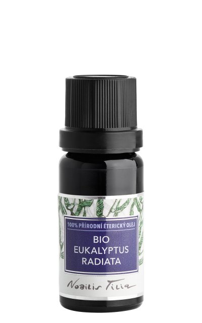 B0002B Bio Eukalyptus radiata